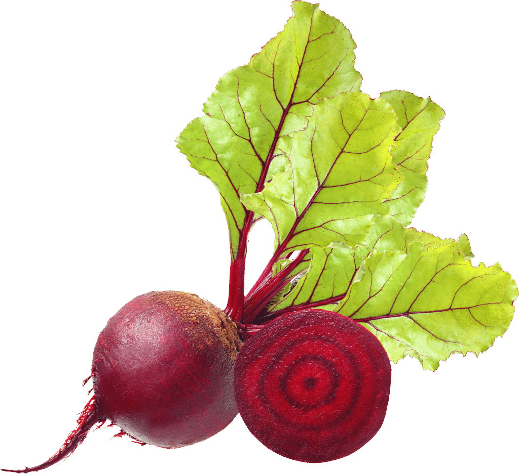 Beetroot Lip Oil - Organic Tribe | Royalty Reinvented